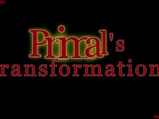 Primal transformations