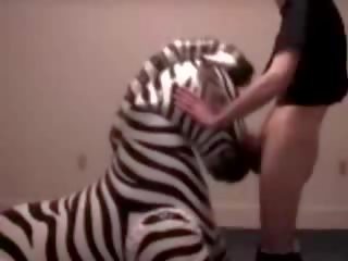 Zebra krijgt keel geneukt door verdraaien kerel video-