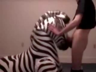 Zebra ได้รับ ลำคอ ระยำ โดย บิดเบือน ผู้ชาย วีดีโอ