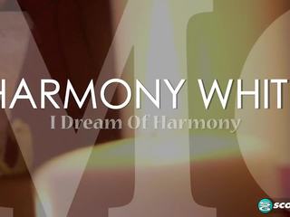 I Dream Of Harmony2