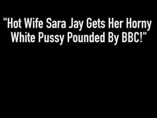 뜨거운 아내 사라 어치 도착 그녀의 뿔의 화이트 고양이 두드리고 로 영국 bbc!
